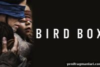 Bird Box (2018) Review: Inside Netflix’s Chilling Thriller