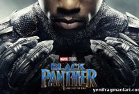Black Panther (2018) Movie Review: Wakanda, Politics and Legacy