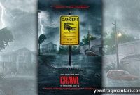 Crawl 2019 Movie Review: Tense Alligator Thriller