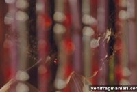Eyimofe (This Is My Desire) BFI London Film Festival 2020 Review