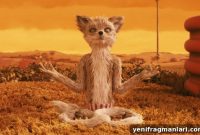 Wes Anderson’s Fantastic Mr Fox 2009 – Stop-Motion Film Review