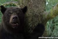 Cocaine Bear (2023) Review – Wild, Absurd Horror-Comedy