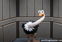An Ostrich Told Me the World Is Fake (2022) – Short Film Review