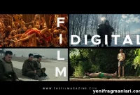 Film Stock vs Digital: A Beginner’s Guide to Choosing