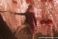Wonka (2023) Movie Review: A Whimsical Origin Story