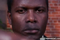 In the Heat of the Night (1967) Film Review