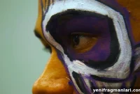 Watch the Lights (2024) Review: Plot, Performances & Verdict
