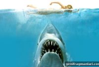 Jaws 1975: Quick Review of Spielberg’s Classic Thriller