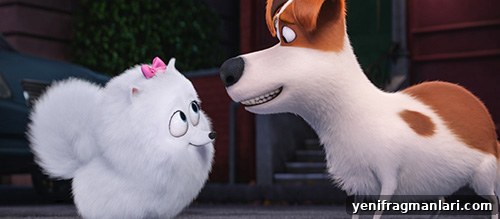 All Illumination Animated Movies Ranked 11 Illumination Entertainment Secret Life of Pets