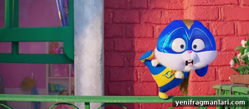 All Illumination Animated Movies Ranked 9 Secret Life of Pets 2