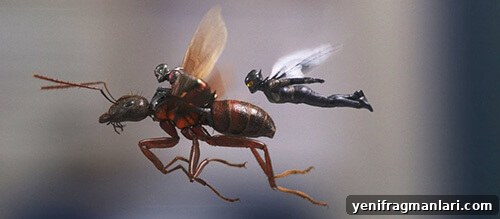 Ant-Man 2 Marvel Movie