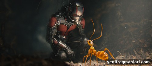 Ant-Man Movie Paul Rudd