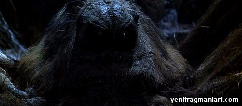 10 Most Terrifying Moments in the Harry Potter Movies 11 Harry Potter Spider
