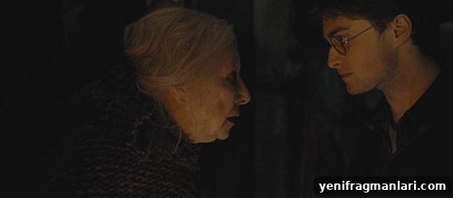 10 Most Terrifying Moments in the Harry Potter Movies 8 Harry Potter Movie Bathilda