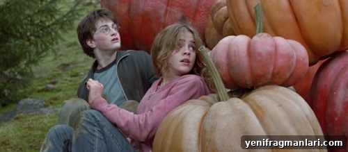 20 Cozy Movies to Watch This Autumn 3 Harry Potter 3 Film
