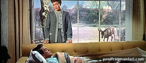 20 Classic Films to Cozy Up With This Winter 2 sirk all that heaven allows