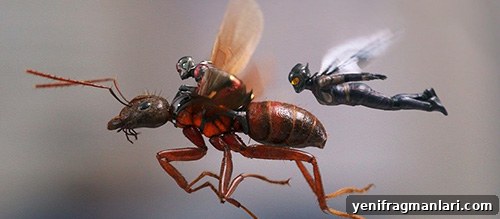 Every 2018 Superhero Movie Ranked 2 Ant-Man 2 Movie