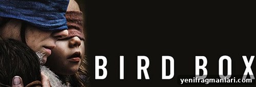 Bird Box review 2018
