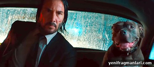 John Wick 3 Dog