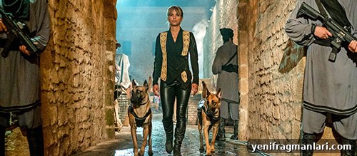 Halle Berry John Wick 3