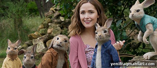 Peter Rabbit