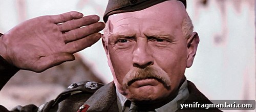 10 Iconic Movie Mustaches That Stole the Show 11 Colonel Blimp Moustache