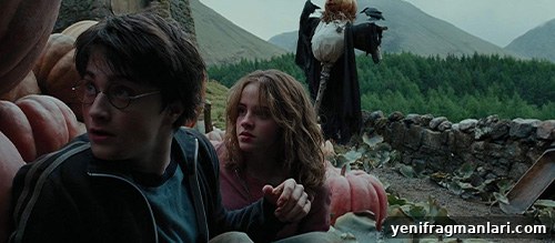 Harry Potter Movies Ranked: Every Film from Worst to Greatest 6 Harry Potter 3