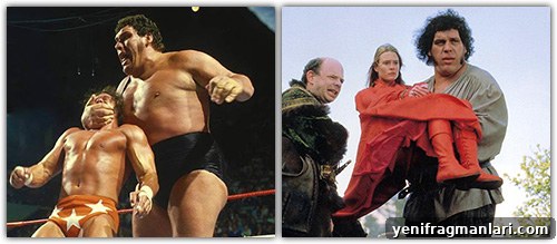 From Ring to Screen: 10 Wrestlers Turned Actors 5 Andre the Giant actor