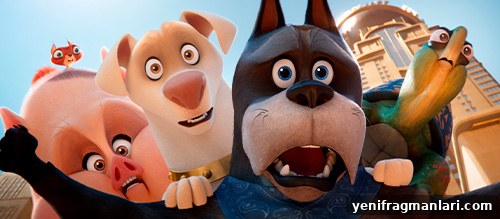 Every Warner Animation Group Movie, Ranked 3 DC League of Super-Pets