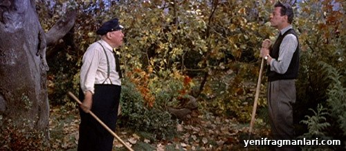 10 Alfred Hitchcock Movies, Ranked 7 The Trouble with Harry poster