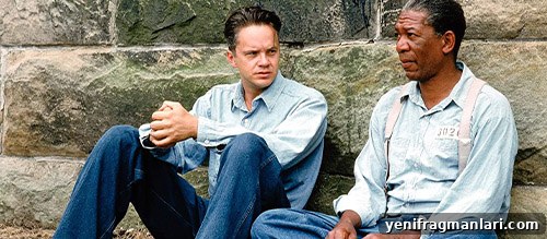 Top 10 Movies Your Toxic Ex Always Brags About 11 The Shawshank Redemption (1994)
