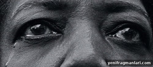10 Recent Films That Explore White Privilege 10 I Am Not Your Negro poster