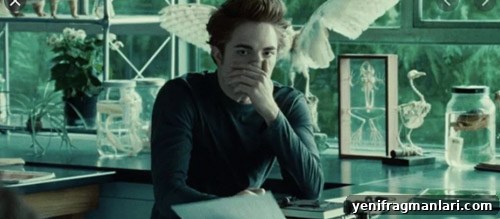 Twilight (2008)