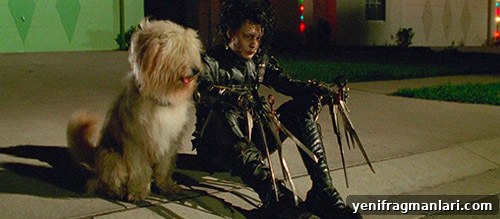 Edward Scissorhands
