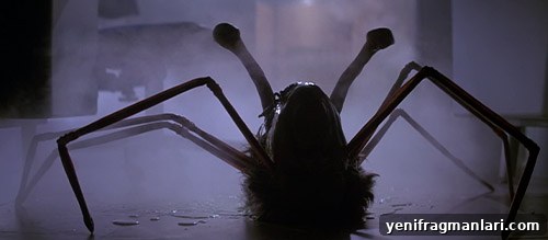 CGI vs Animatronics: How Movie Visual Effects Differ 2 The Thing (1982) still