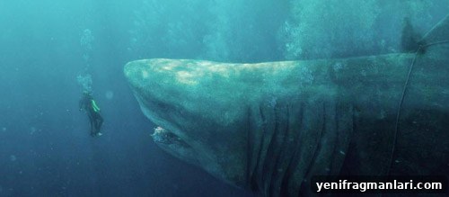 The Meg (2018) still