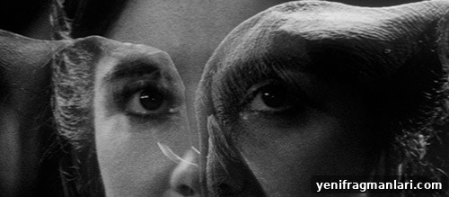 David Lynch Films: Where to Start and What to Watch 2 The Elephant Man poster