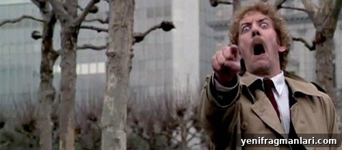 10 Iconic 1970s Horror Movie Moments 3 img 23084 2