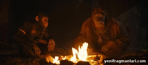 Every Planet of the Apes Movie, Ranked 2 Kingdom of the Planet of the Apes
