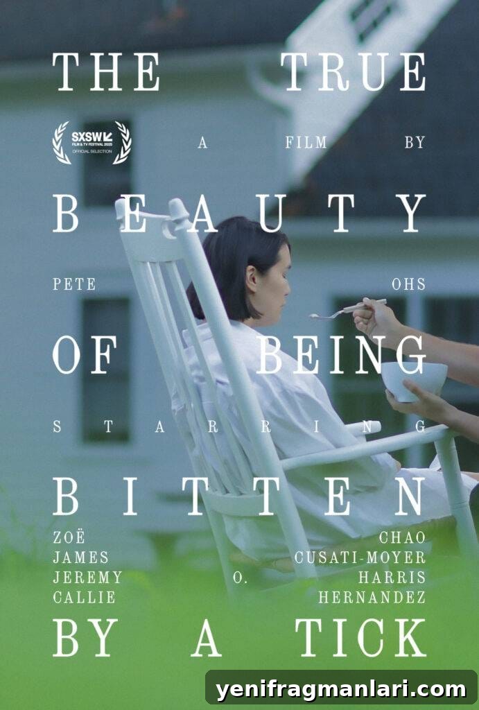 What Being Bitten by a Tick Reveals About Indie Films 2 The True Story of Being Bitten By a Tick Poster | Courtesy of Exile PR