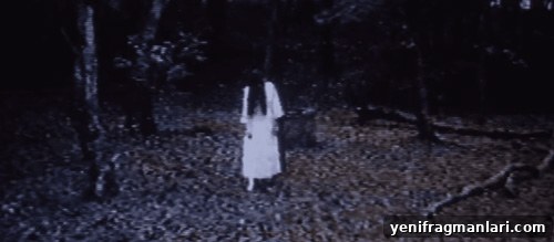 10 Must-See Japanese Horror Films 7 img 29416 6