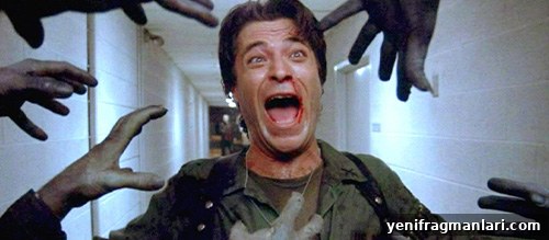 George Romero Dead Movies Ranked: From Night to Diary 5 Day of the Dead