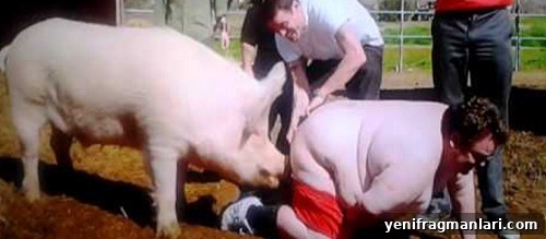 10 Iconic Jackass 3 Moments 2 Preston Lacy pig apple stunt