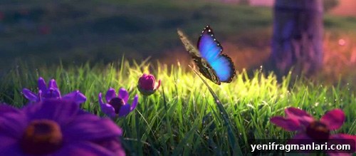 10 Hidden Details You Missed in Encanto 6 Butterflies in Encanto