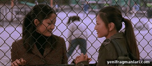 Why Alice Wu Champions Happy Endings in LGBTQ+ Cinema 3 img 31366 2