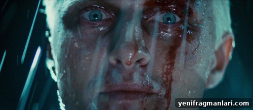 Blade Runner at 40: Revisiting the Sci-Fi Classic 3 img 32162 2 1