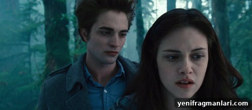 Bella confronts Edward in the woods