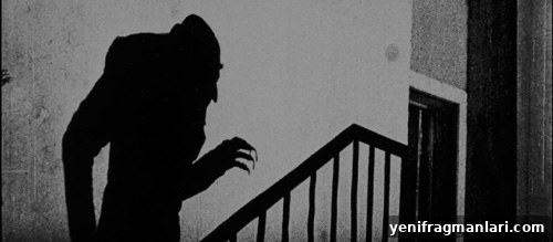 Original Nosferatu vs Werner Herzog's Nosferatu the Vampyre 2 Nosferatu and Nosferatu the Vampyre