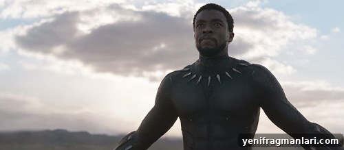 All Oscar-Nominated Films That Grossed Over $1 Billion, Ranked 6 Black Panther (2018)