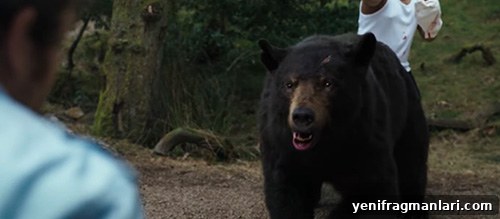 Cocaine Bear (2023) Review - Wild, Absurd Horror-Comedy 2 img 36270 1